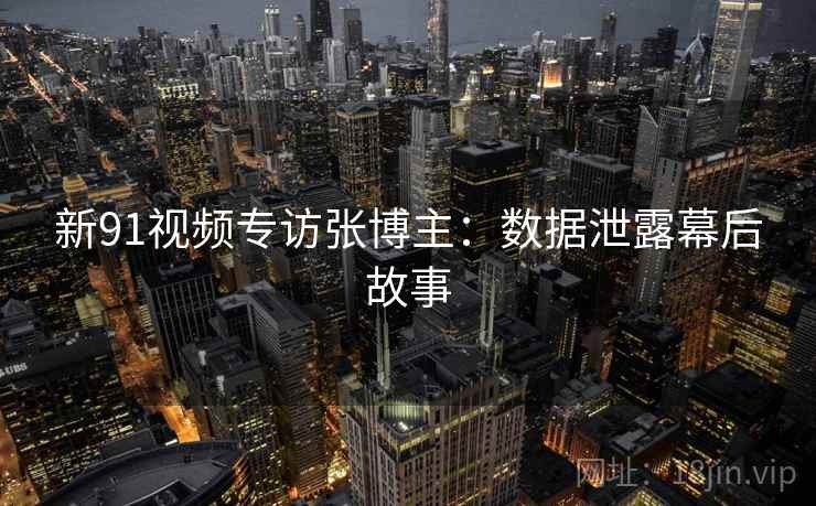 新91视频专访张博主：数据泄露幕后故事