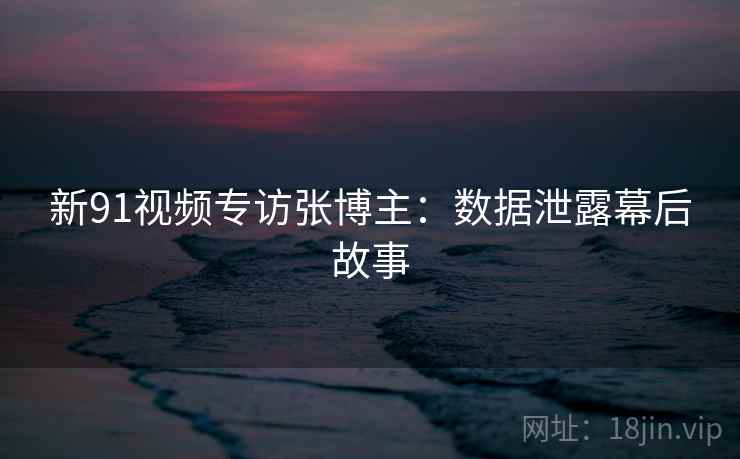 新91视频专访张博主：数据泄露幕后故事