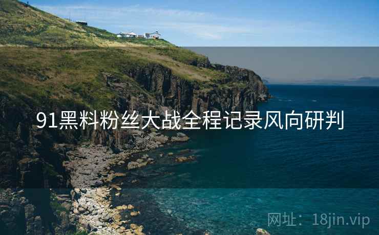 91黑料粉丝大战全程记录风向研判