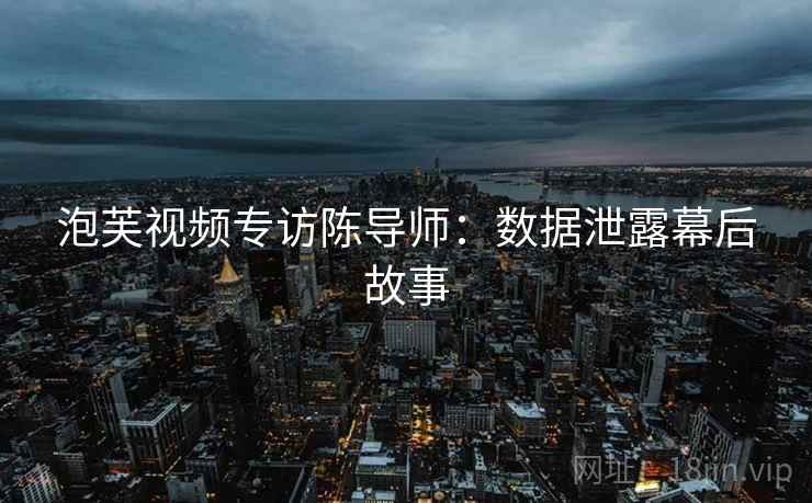 泡芙视频专访陈导师：数据泄露幕后故事