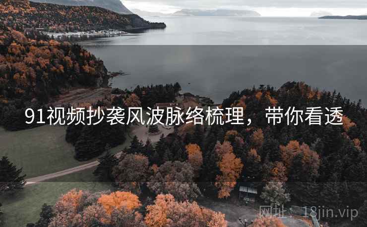 91视频抄袭风波脉络梳理，带你看透