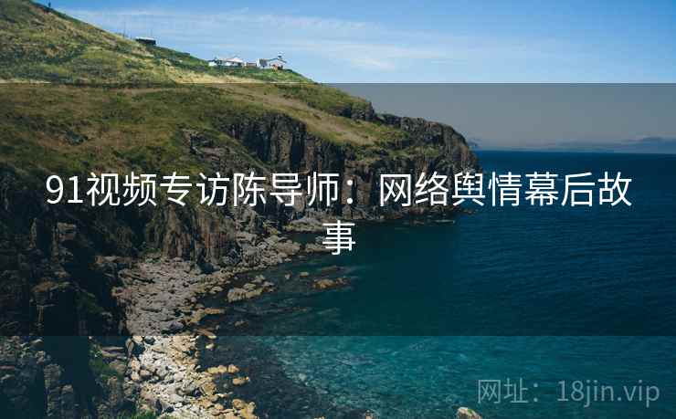 91视频专访陈导师：网络舆情幕后故事